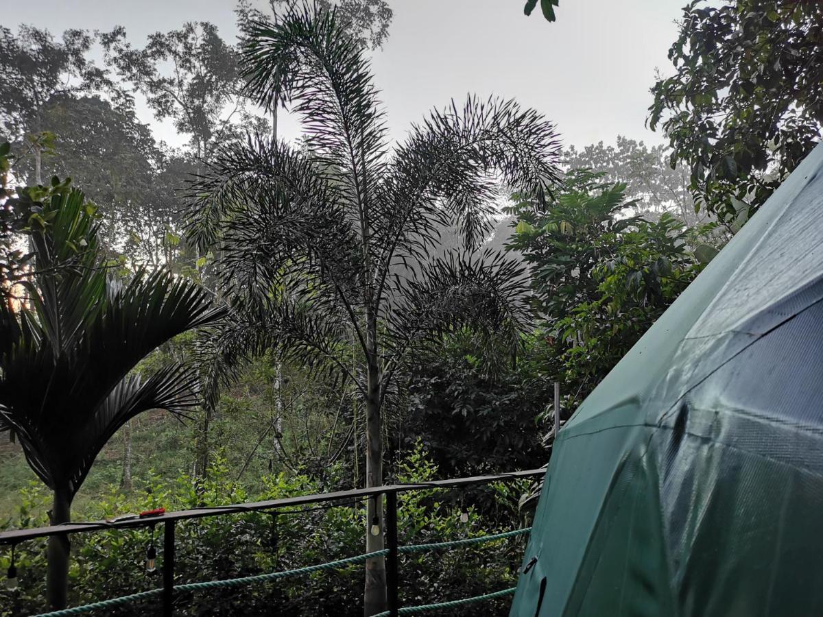 Momotus Glamping Hotel Florencia Exterior photo