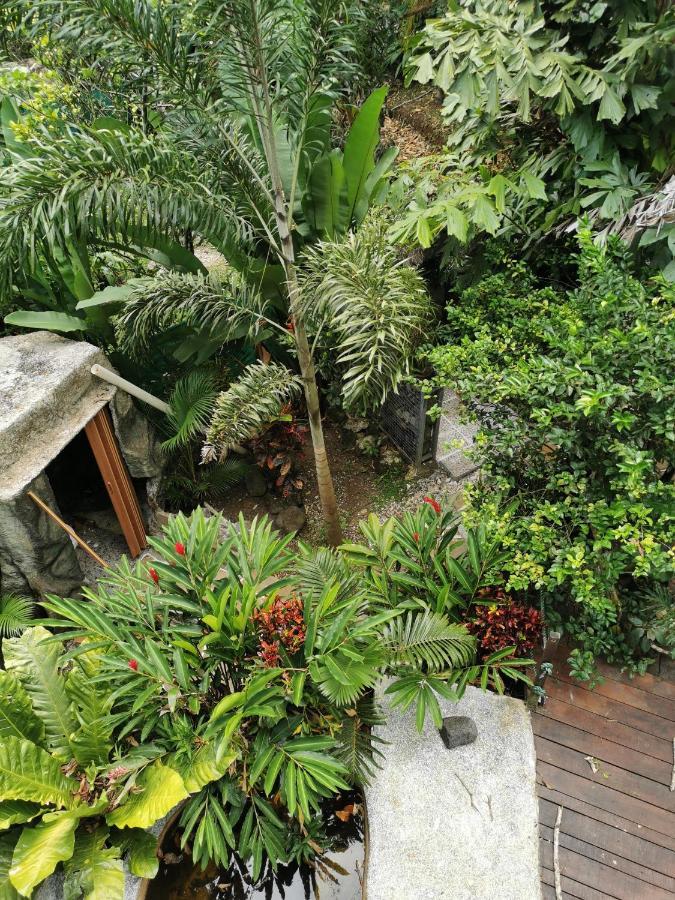 Momotus Glamping Hotel Florencia Exterior photo