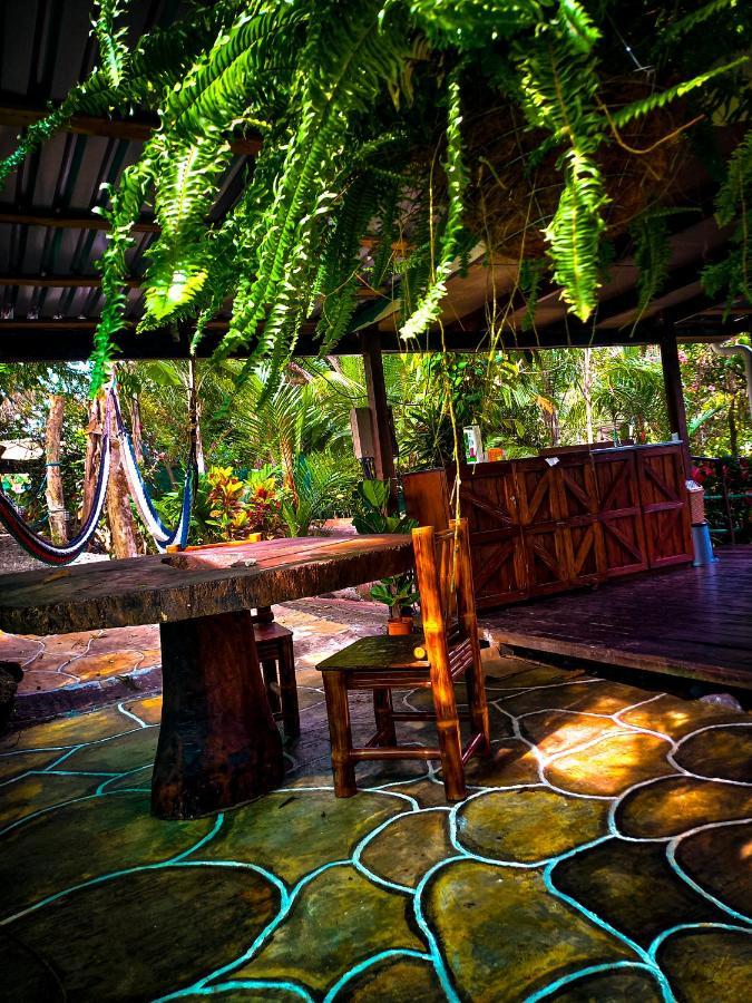 Momotus Glamping Hotel Florencia Exterior photo